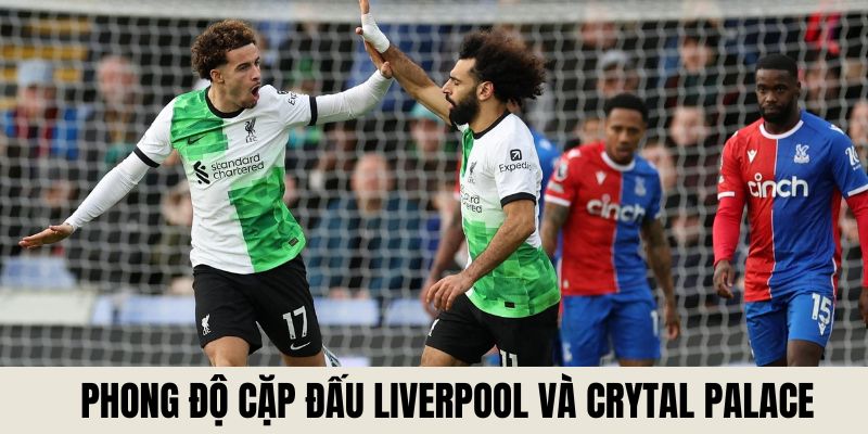 Đánh giá phong độ cặp đấu Liverpool và Crystal Palace